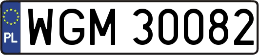 WGM30082