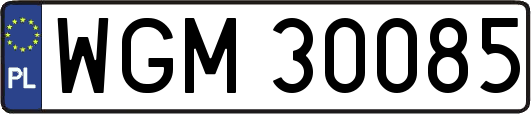 WGM30085
