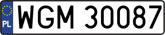 WGM30087