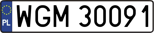 WGM30091
