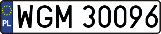 WGM30096