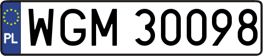 WGM30098