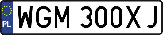 WGM300XJ