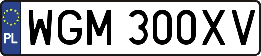 WGM300XV