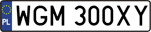 WGM300XY