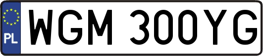 WGM300YG