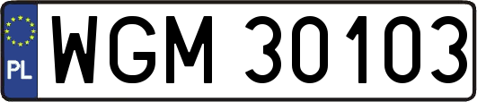 WGM30103