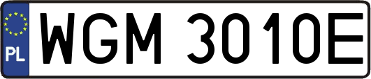 WGM3010E
