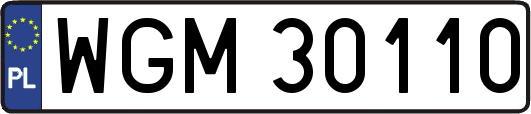 WGM30110