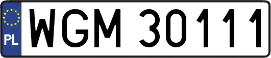 WGM30111