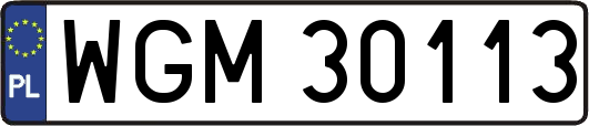 WGM30113