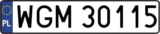 WGM30115