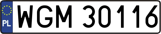 WGM30116