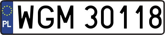 WGM30118