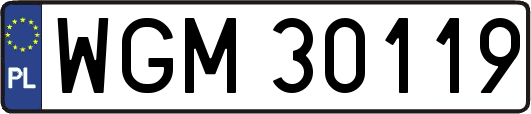 WGM30119