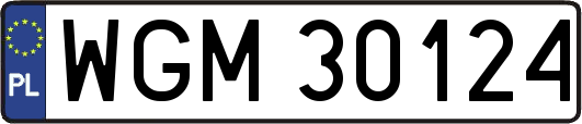 WGM30124