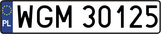 WGM30125