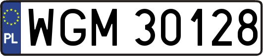 WGM30128
