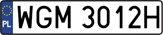 WGM3012H