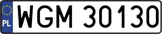 WGM30130