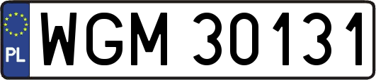 WGM30131
