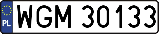 WGM30133