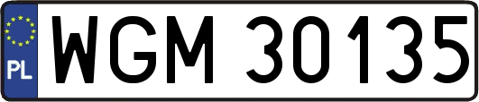 WGM30135