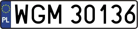 WGM30136