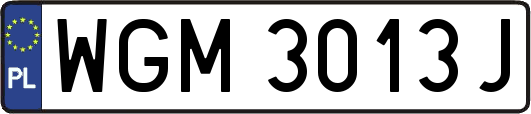 WGM3013J