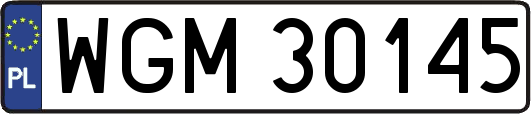 WGM30145