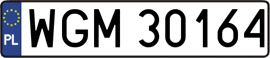 WGM30164
