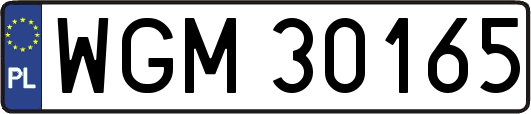 WGM30165