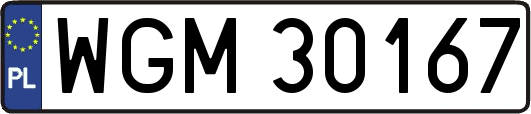 WGM30167