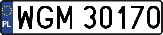 WGM30170