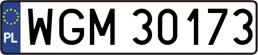 WGM30173