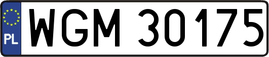 WGM30175