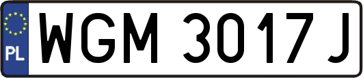 WGM3017J