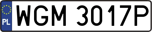 WGM3017P