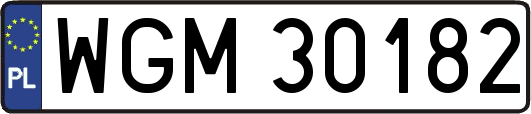 WGM30182