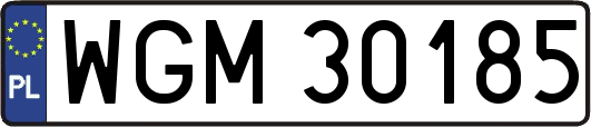 WGM30185
