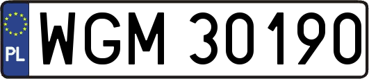 WGM30190