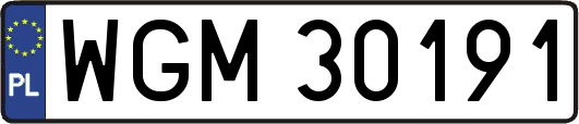WGM30191