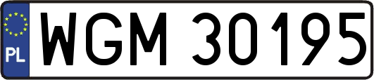 WGM30195