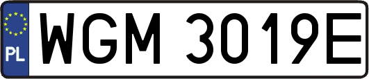 WGM3019E