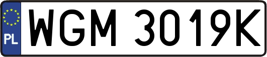 WGM3019K
