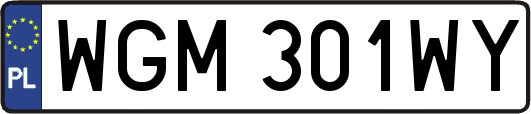 WGM301WY