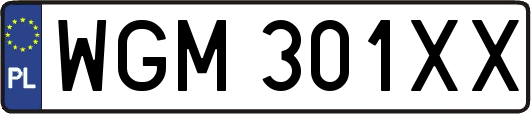 WGM301XX