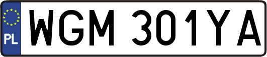 WGM301YA