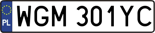 WGM301YC