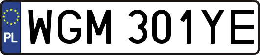 WGM301YE